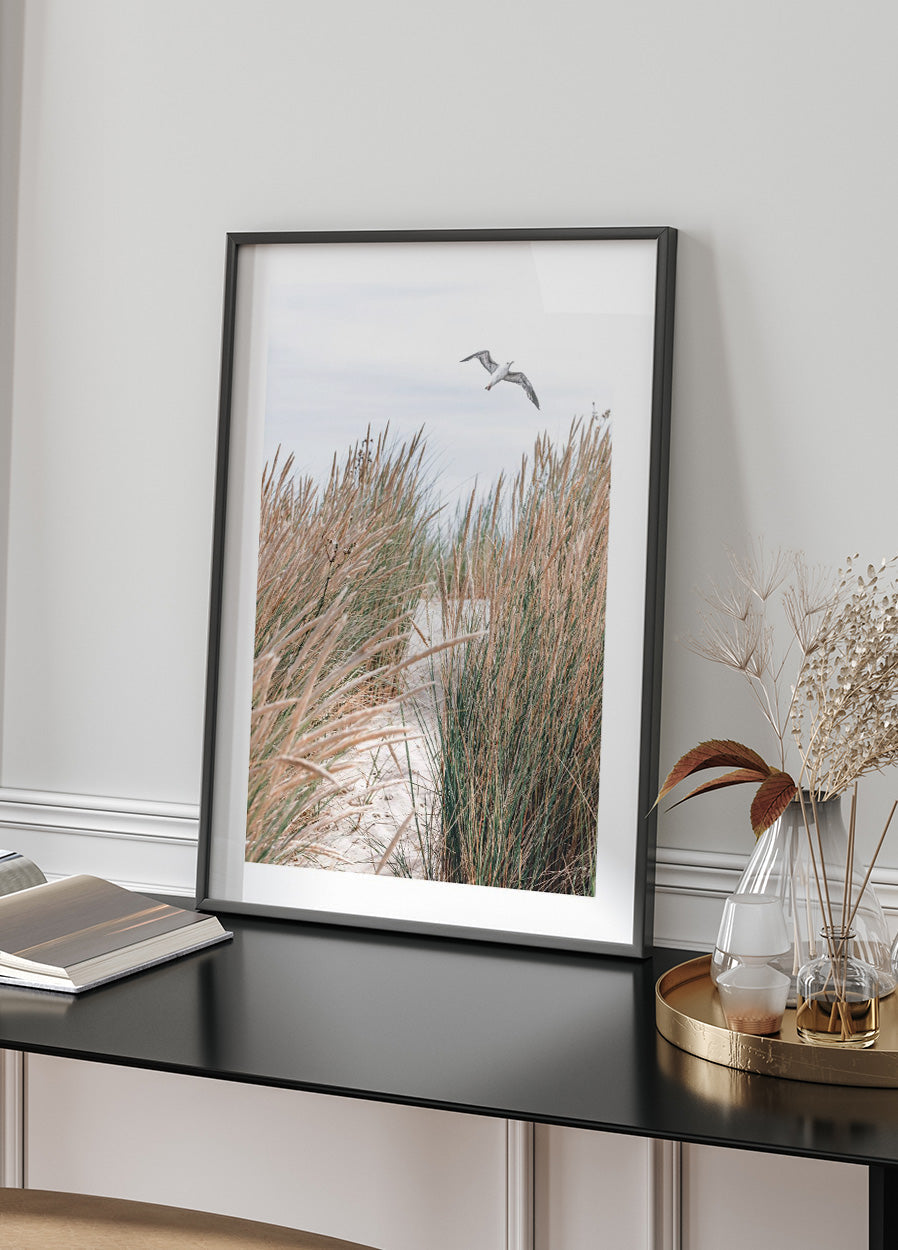 Seagull & Beach Grass Plakat - Posterbox.no