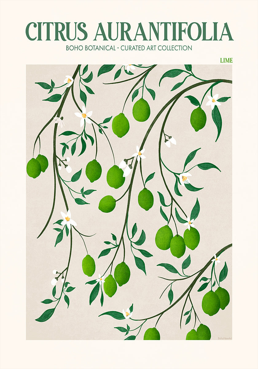 Botanical Lime Bliss Plakat - Posterbox
