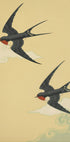 Swallows in Flight Poster - Posterbox