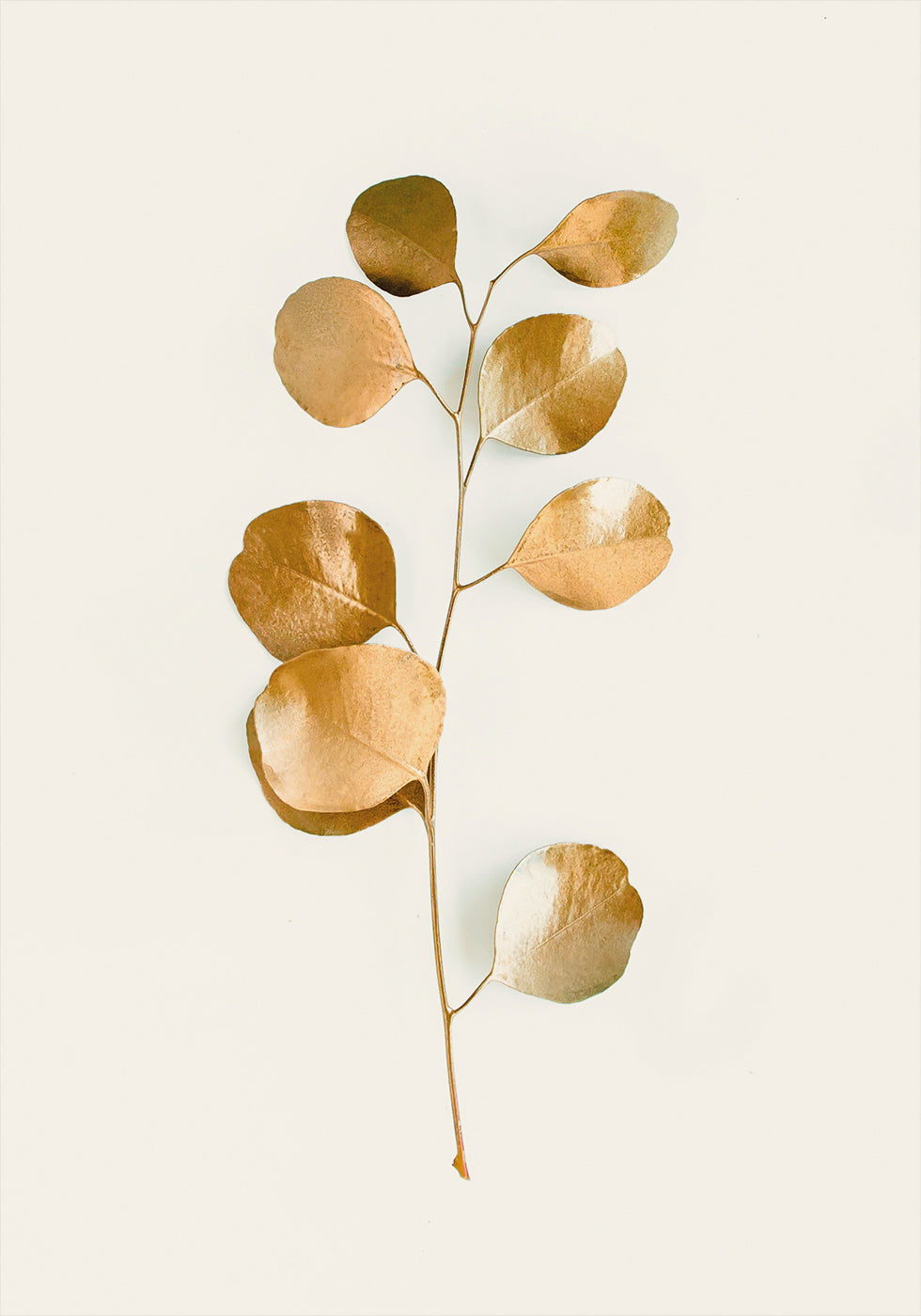 a single golden leaf on a white background