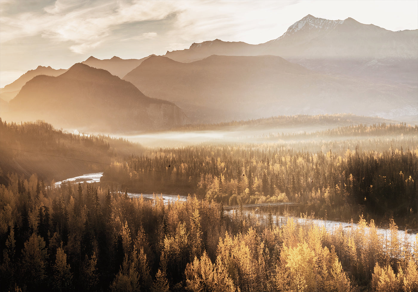 Golden Morning in the Valley -juliste