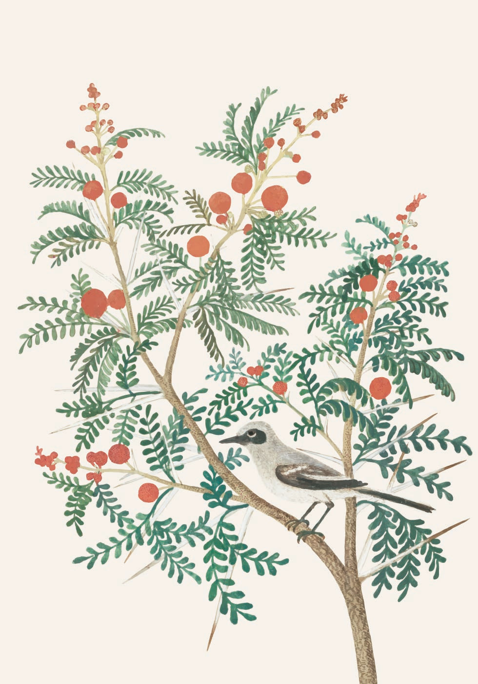 Bird on Berry-Laden Branch -juliste