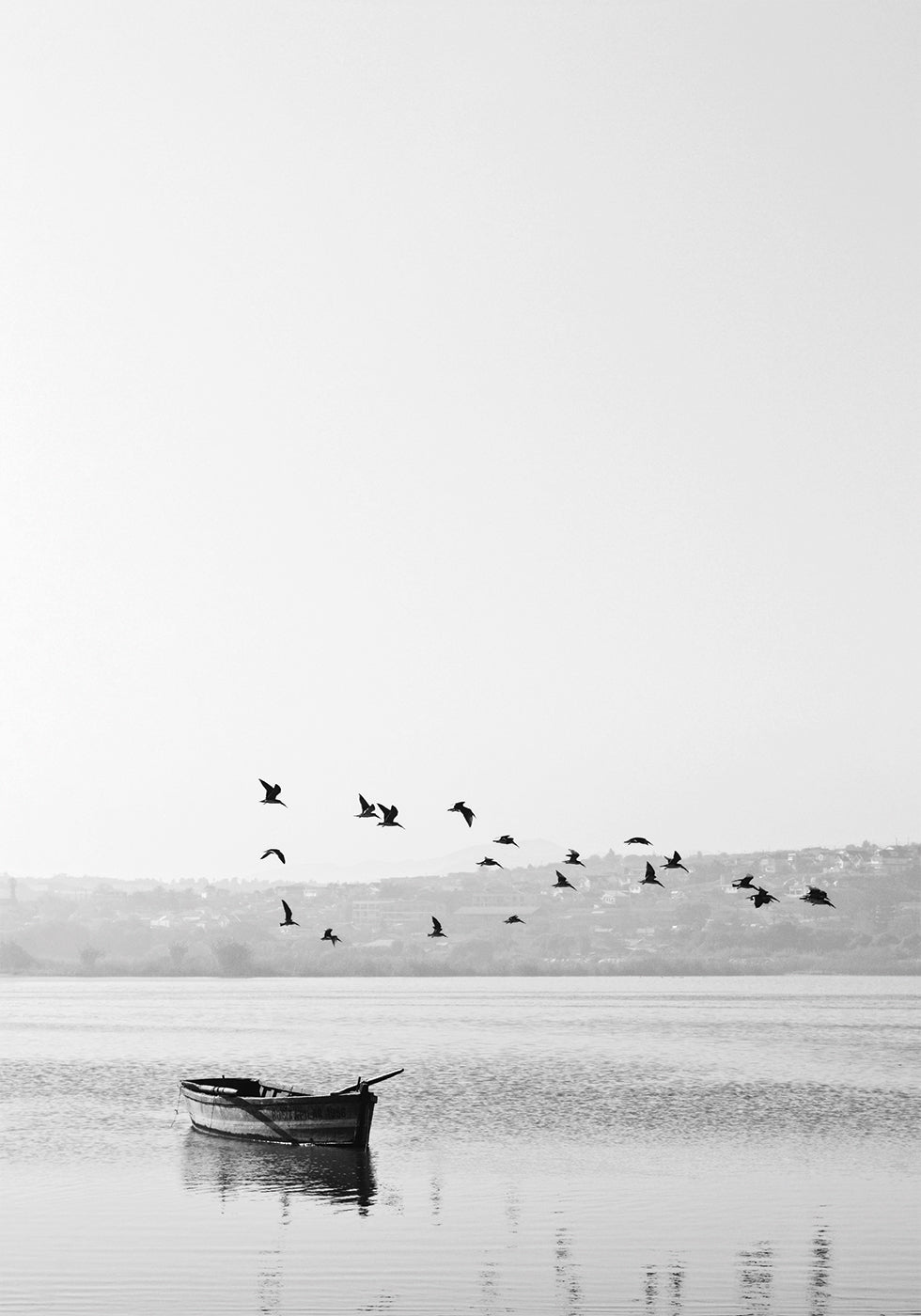 Birds Over Lake -juliste 