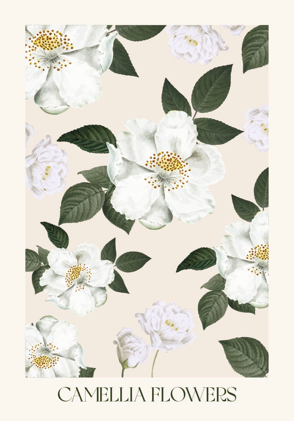 Camellia Flowers -juliste 