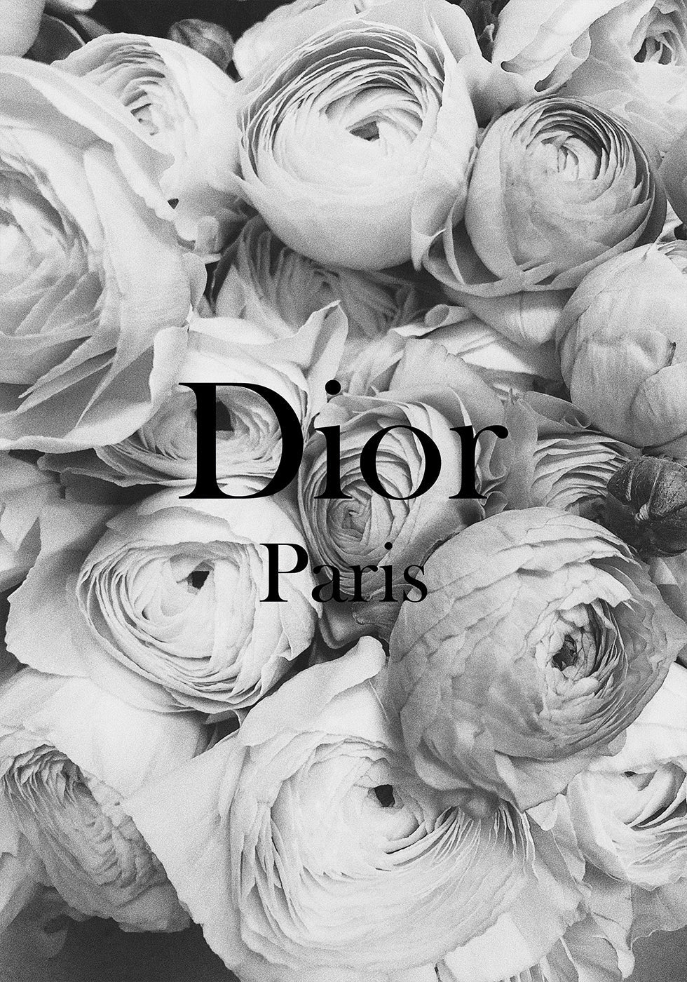 Dior Ranunculus -juliste 