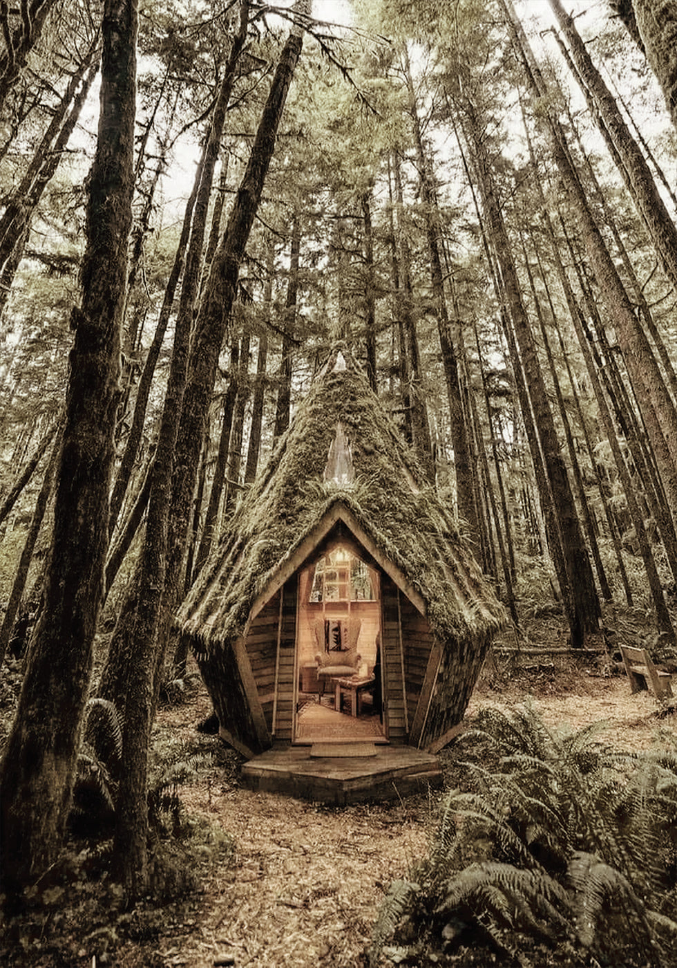 Fairy Tale Cabin in the Woods -juliste 