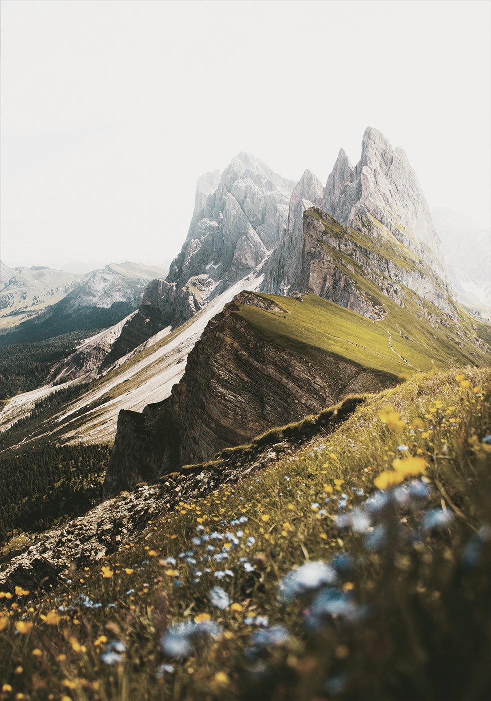 Alpine Blossoms and Peaks -juliste 