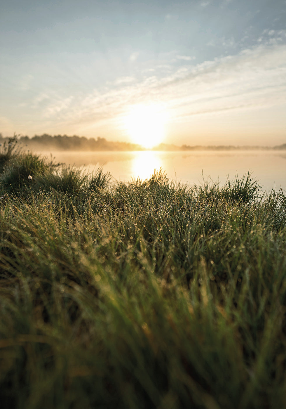 Dewy Dawn by the Lake -juliste 