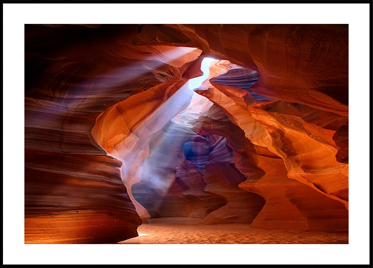 Pure Photodelight 2 -juliste