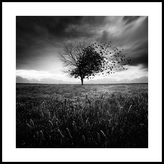Illusion juliste