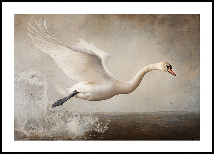 Graceful Lento