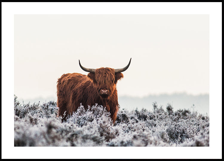 Highlander-juliste