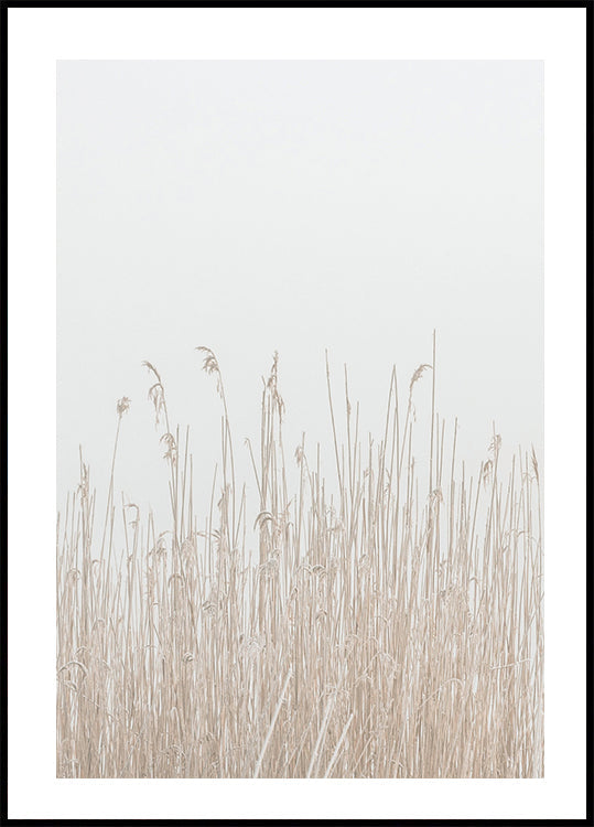 Grass In Fog -juliste 