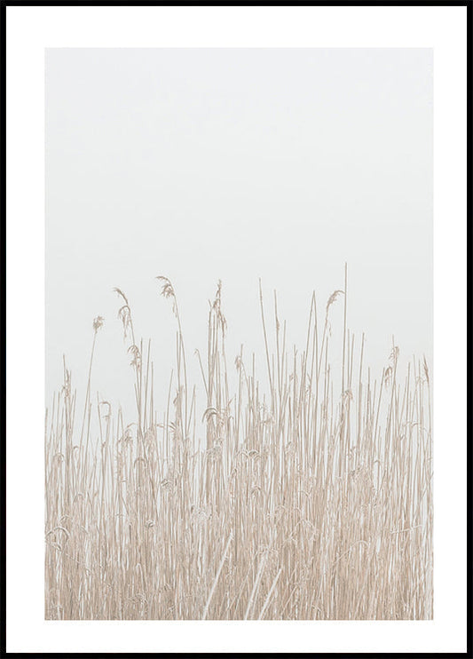 Grass In Fog -juliste 