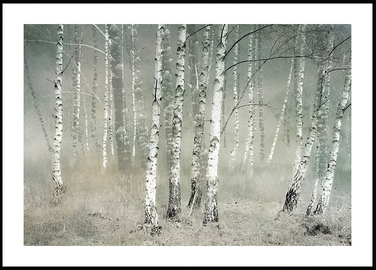 Aamun hiljaisuus Juliste