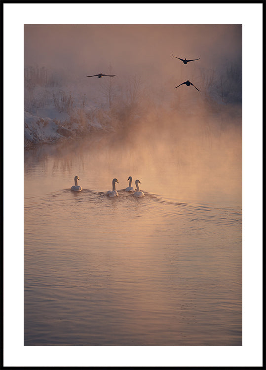 Missä sumu ei päässyt julisteeseen
