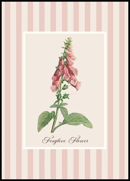 Pink Foxglove Flower -juliste