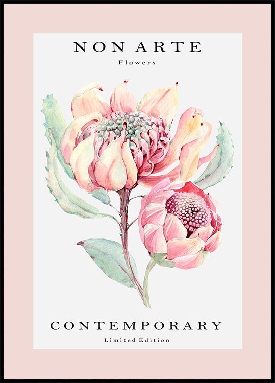 Non Arte ruusujuliste