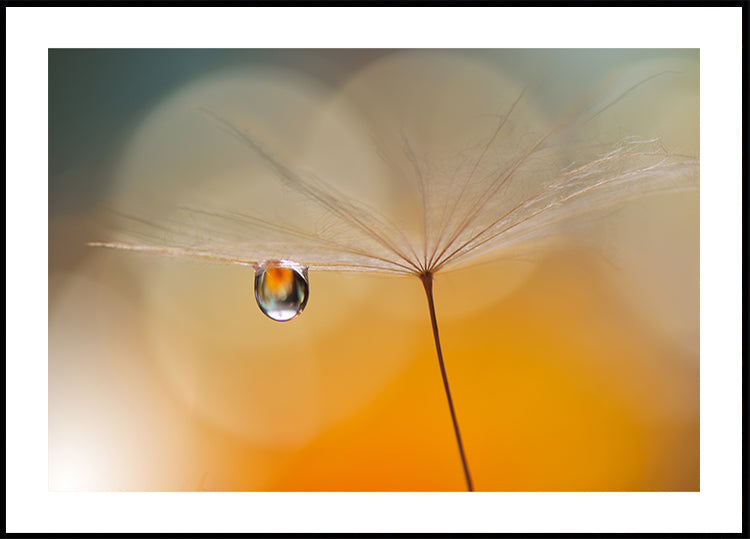 Pikku yömusiikkia...