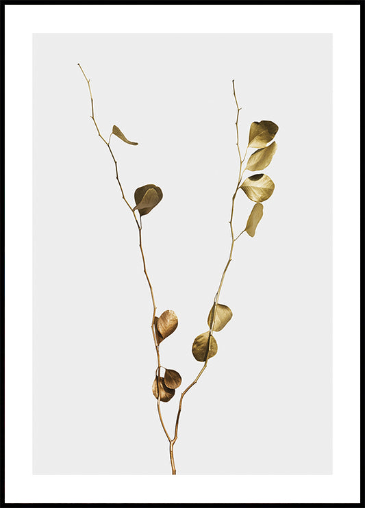 Golden Eucalyptus Branch -juliste