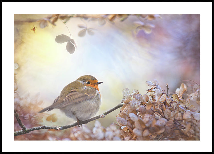 Robin unelmissa