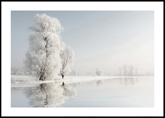 Frosty Winter Tree №2 juliste