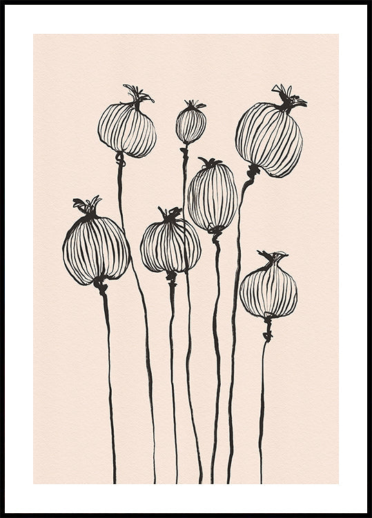 Poppy Pods -juliste