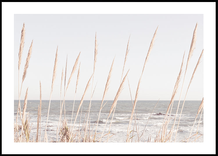 Beach_Vass_002 juliste