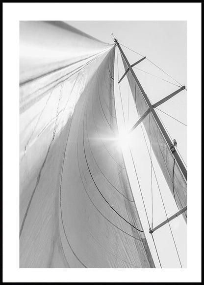 Sail In Sunlight -juliste 