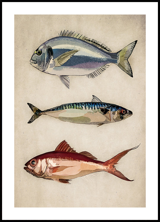 Ocean Lifen trio