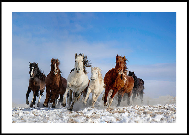 Mongolian hevoset