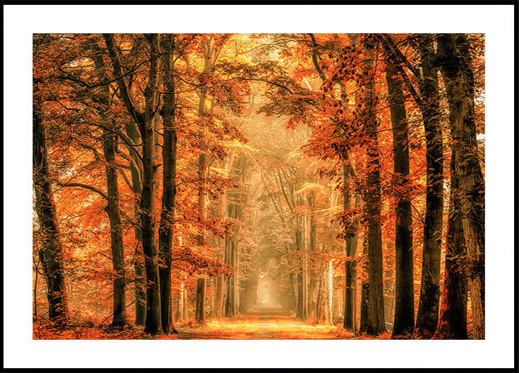 Poistu portaalijulisteesta