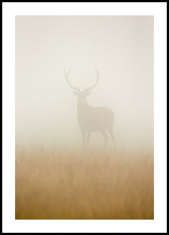 Ghost Stag -juliste