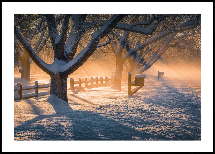 Lumimyrskyn jälkeen -juliste