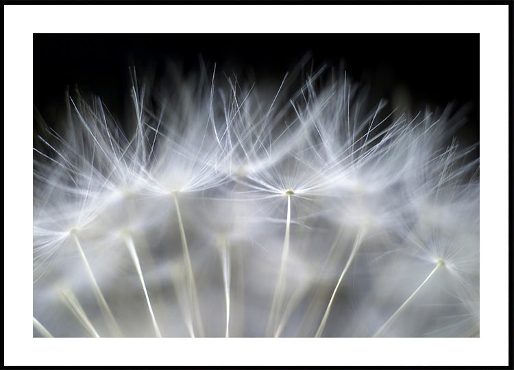 Blow it -juliste