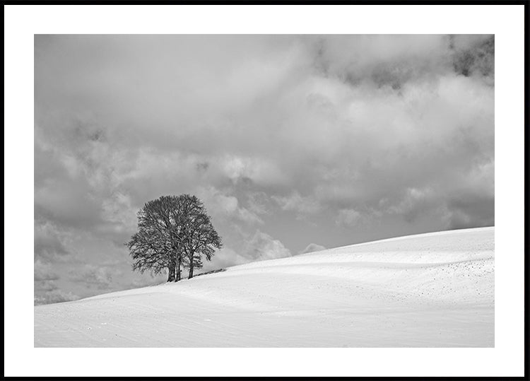 Pilvinen talvipäivä Juliste