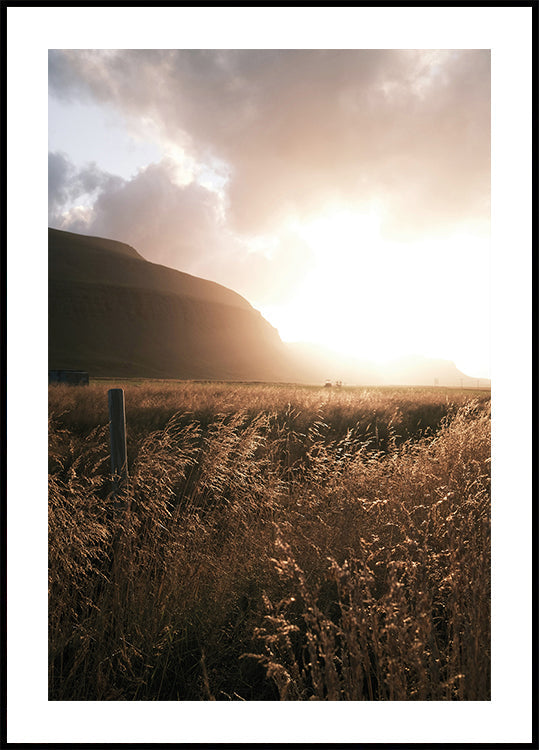 Golden Fields at Dusk -juliste