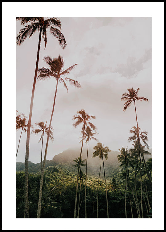 Palms and Mountain -juliste 