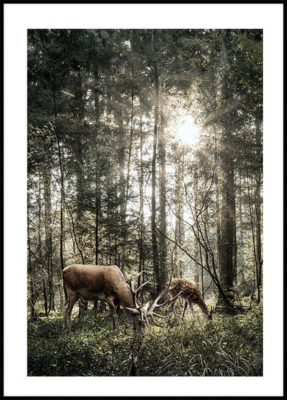 Deer In Forest -juliste 