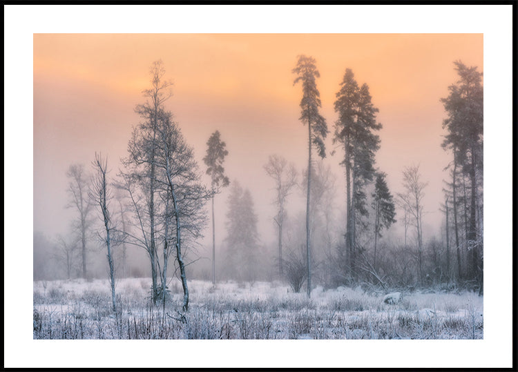 Pakkas aamu -juliste