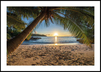 Tropical Beach Serenity -juliste