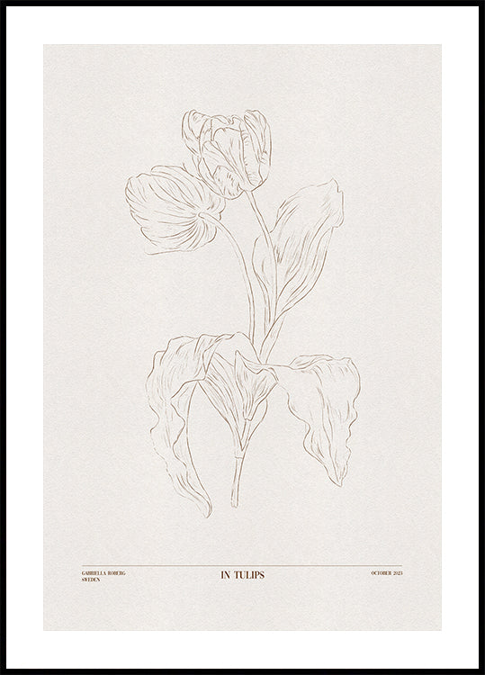 Tulppaaniin (ruskea)
