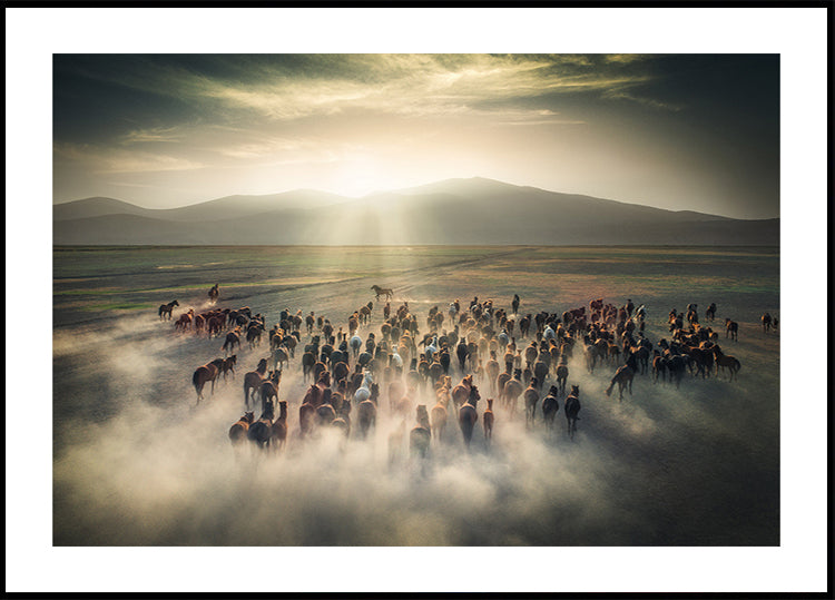 Villihevosten juliste