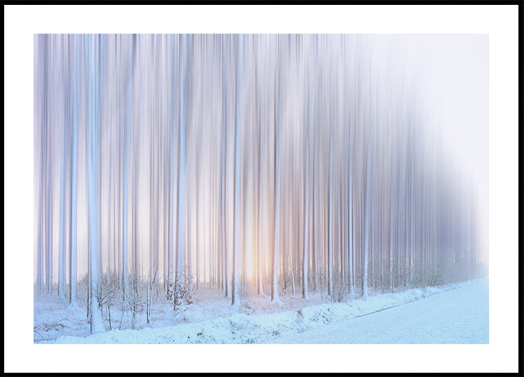 puiden verho Juliste