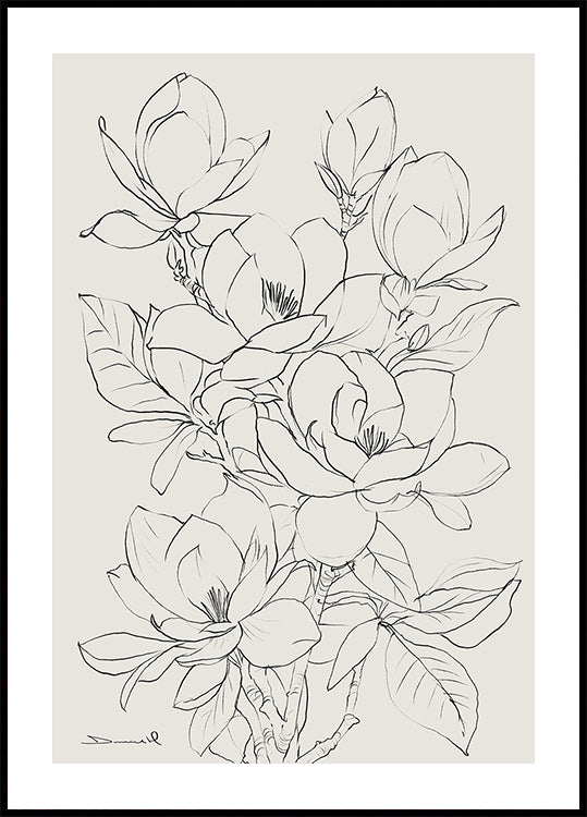 Magnolia puu