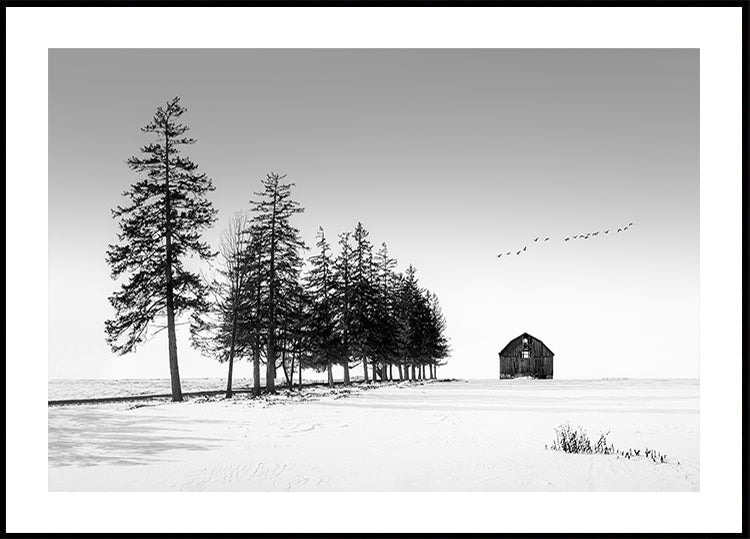 Aurinkoisen talvipäivän juliste