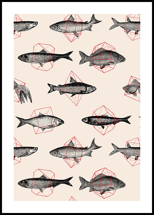 Fishes In Geometrics Nº4 -juliste