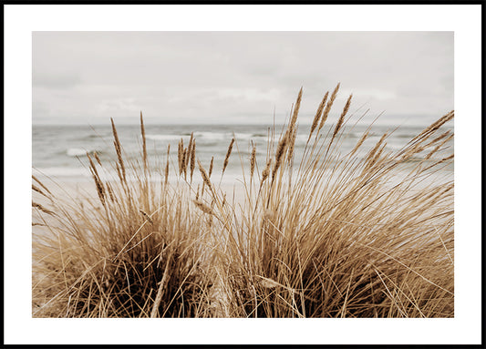 Grass by the Sea №2 juliste