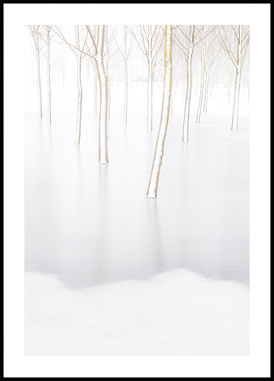 Talviheijastusjuliste