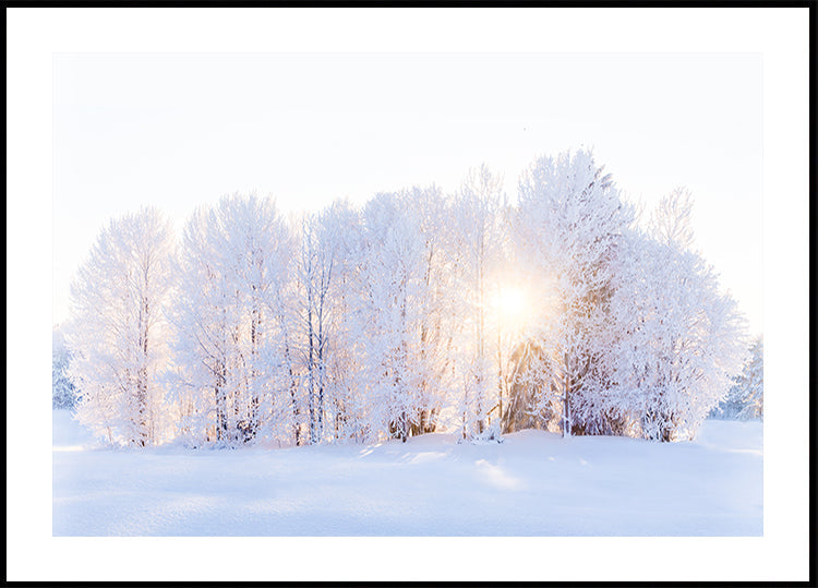 Valo palauttaa julisteen